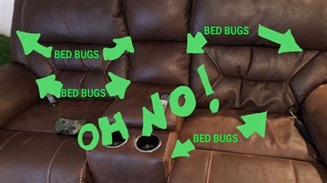 bed bugs like leather couch.